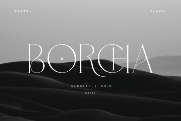 Borcha: A Stylish Serif Font for Business
