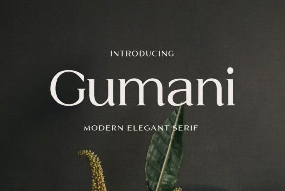 Gumani: A Serif Font for Elegant Web Design