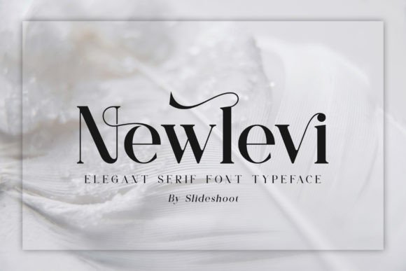 Newlevi: A Stylish Serif for Business Branding