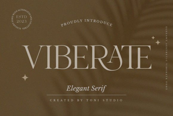 Viberate: A Serif Font for Real-World Design