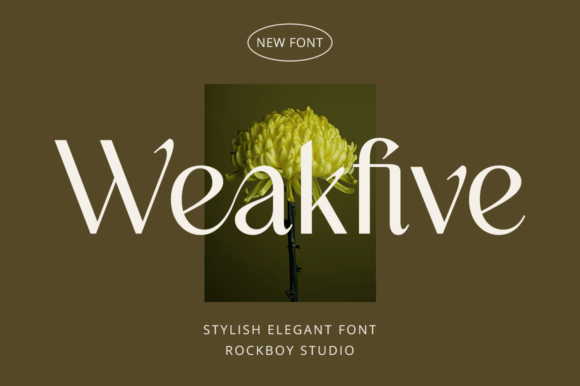 Weakfive Font for Editorial Design